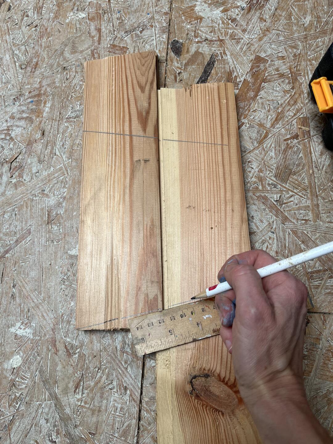 Cytrusowy dziedziniec